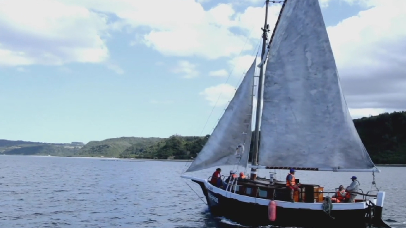 Día Mundial de los Océanos: Celebra con estas producciones de CNTV Play y CNTV Infantil