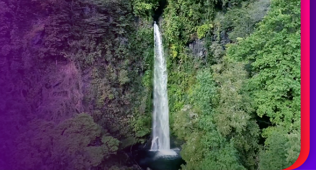 CNTV anuncia cartelera de estrenos de febrero 2024